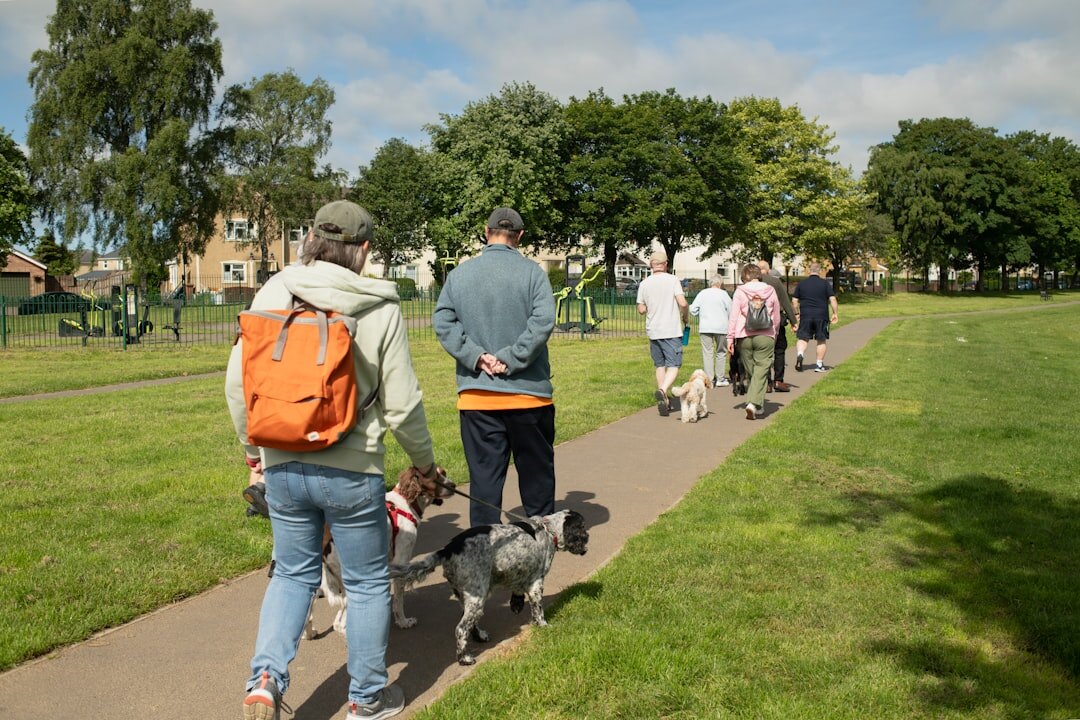 seniors walking in park